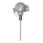 Industrial RTD Probe with Aluminum Protection Head